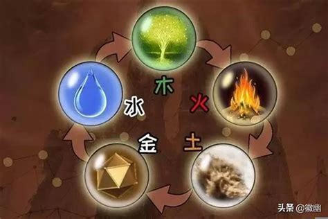 金水火木土|「万物类象」金、水、木、火、土五行取象